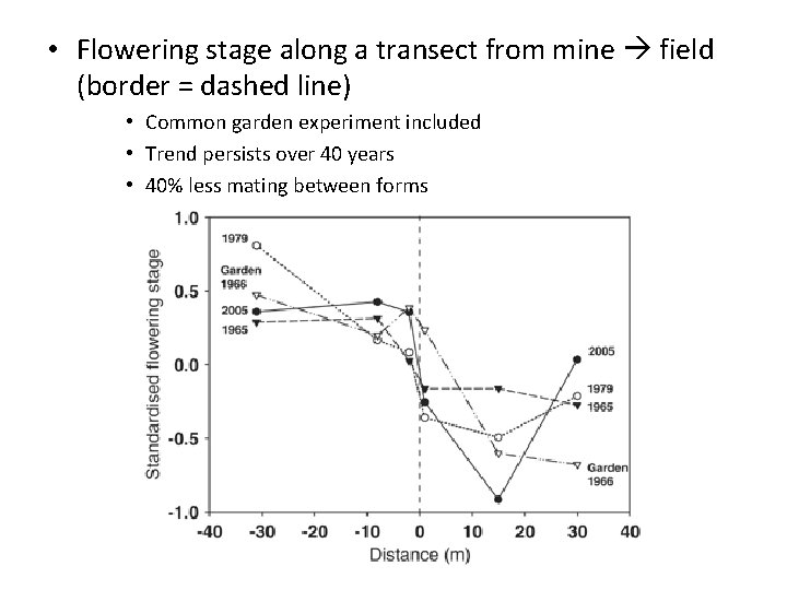 • Flowering stage along a transect from mine field (border = dashed line)
