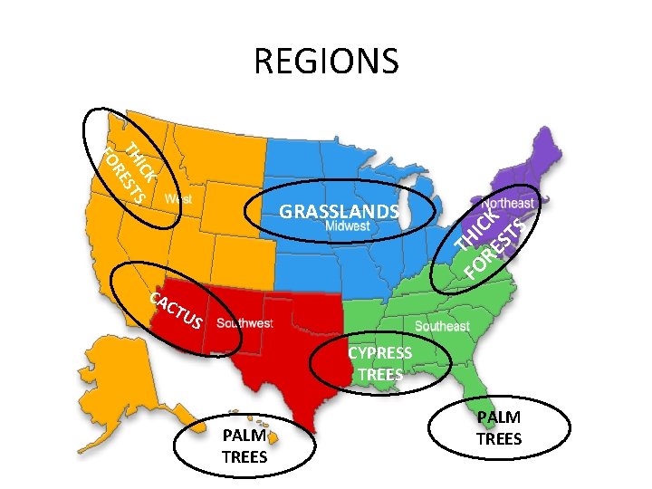 ICK S TH EST R FO CA C GRASSLANDS FO THI RE CK ST