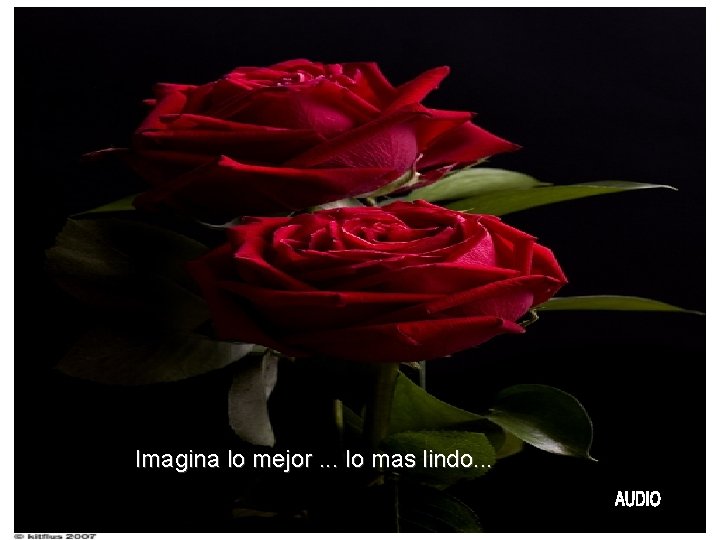 Imagina lo mejor. . . lo mas lindo. . . 