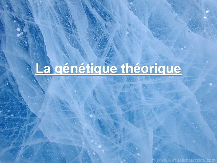 La génétique théorique 