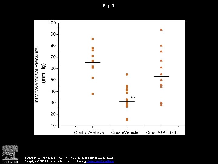 Fig. 5 European Urology 2007 511724 -1731 DOI: (10. 1016/j. eururo. 2006. 11. 026)