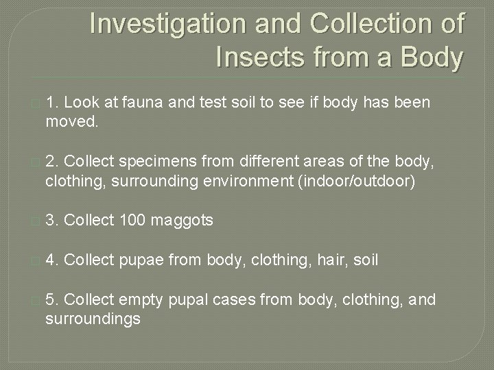 Investigation and Collection of Insects from a Body � 1. Look at fauna and