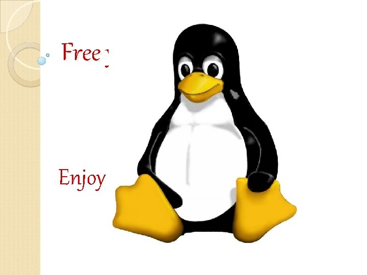 Free your life Enjoy your life 