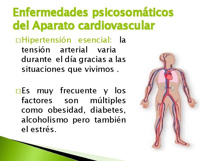 Enfermedades psicosomáticos del Aparato cardiovascular � Hipertensión esencial: la tensión arterial varia durante el