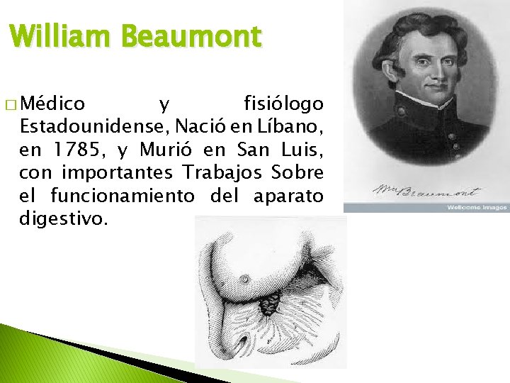 William Beaumont � Médico y fisiólogo Estadounidense, Nació en Líbano, en 1785, y Murió