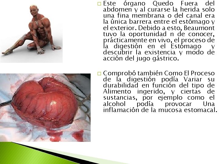 � � Este órgano Quedo Fuera del abdomen y al curarse la herida solo