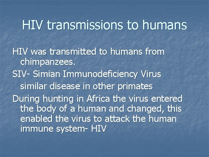 HIV transmissions to humans HIV was transmitted to humans from chimpanzees. SIV- Simian Immunodeficiency