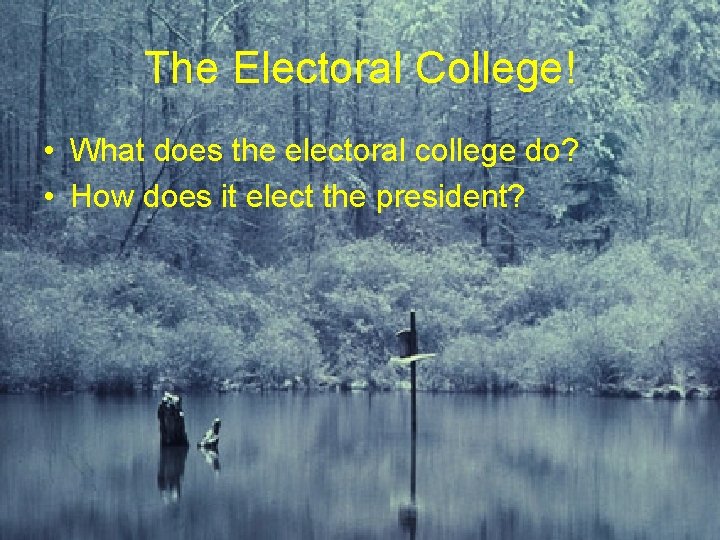 The Electoral College! • What does the electoral college do? • How does it