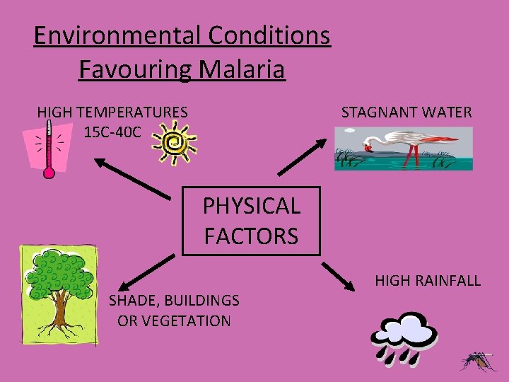 Environmental Conditions Favouring Malaria HIGH TEMPERATURES 15 C-40 C STAGNANT WATER PHYSICAL FACTORS SHADE,