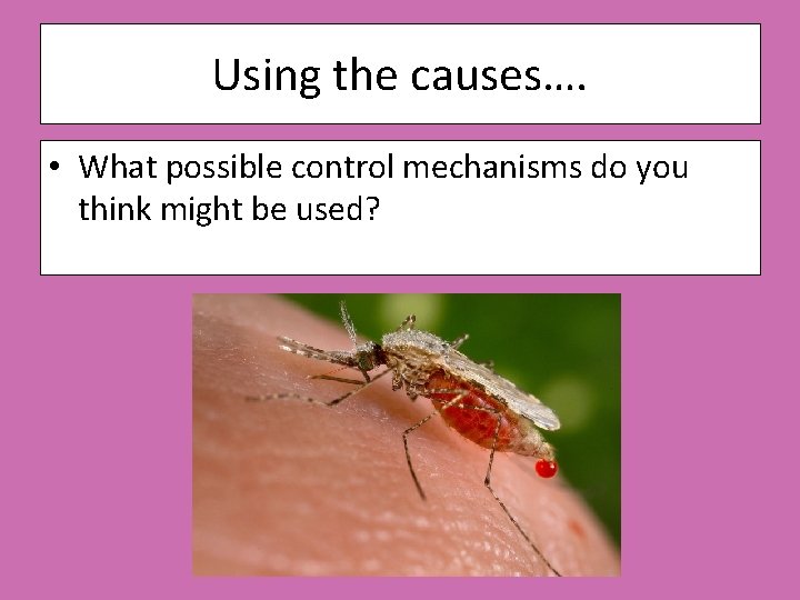 Using the causes…. • What possible control mechanisms do you think might be used?