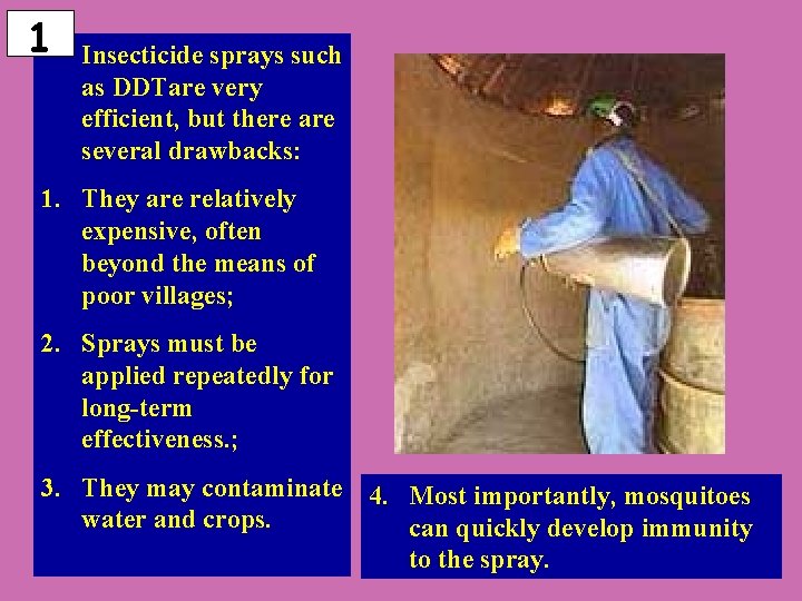 1 Insecticide sprays such as DDTare very efficient, but there are several drawbacks: 1.