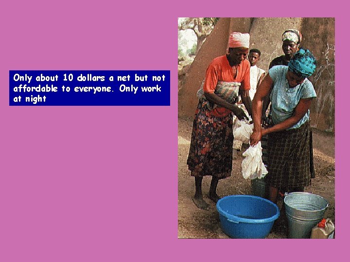 Only about 10 dollars a net but not affordable to everyone. Only work at