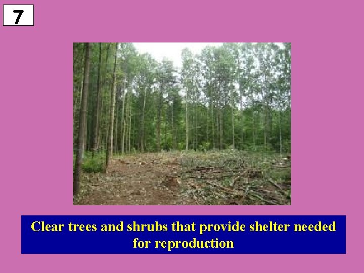 7 Clear trees and shrubs that provide shelter needed for reproduction 