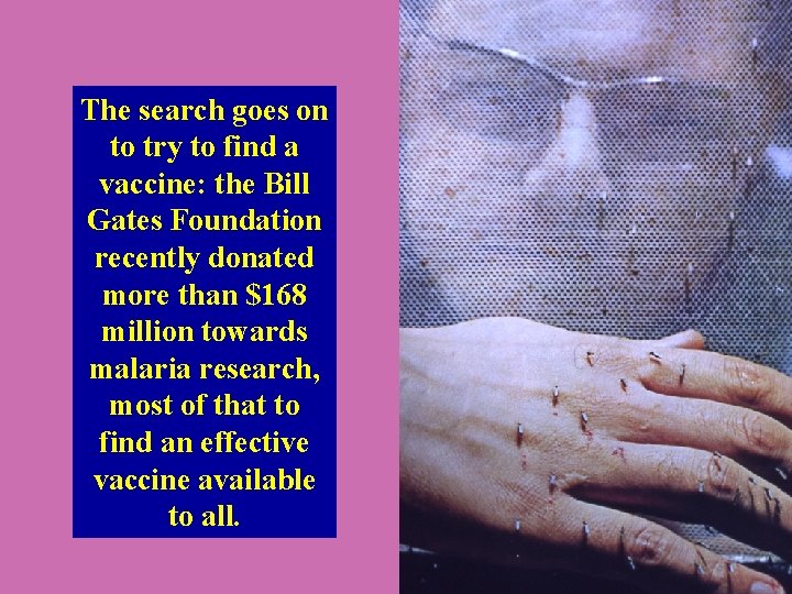 The search goes on to try to find a vaccine: the Bill Gates Foundation