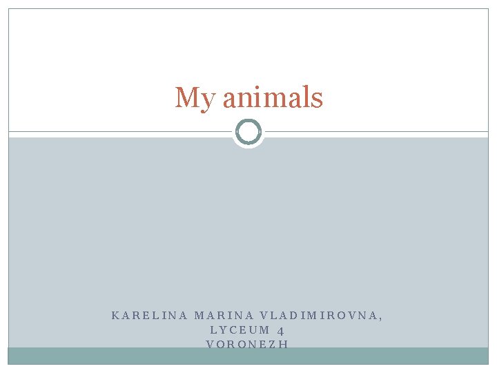 My animals KARELINA MARINA VLADIMIROVNA, LYCEUM 4 VORONEZH 