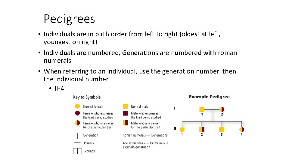 Pedigrees • Individuals are in birth order from left to right (oldest at left,