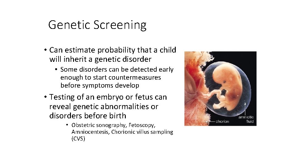 Genetic Screening • Can estimate probability that a child will inherit a genetic disorder