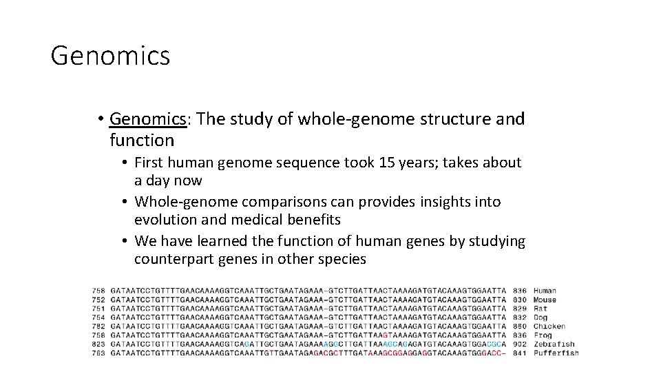Genomics • Genomics: The study of whole-genome structure and function • First human genome