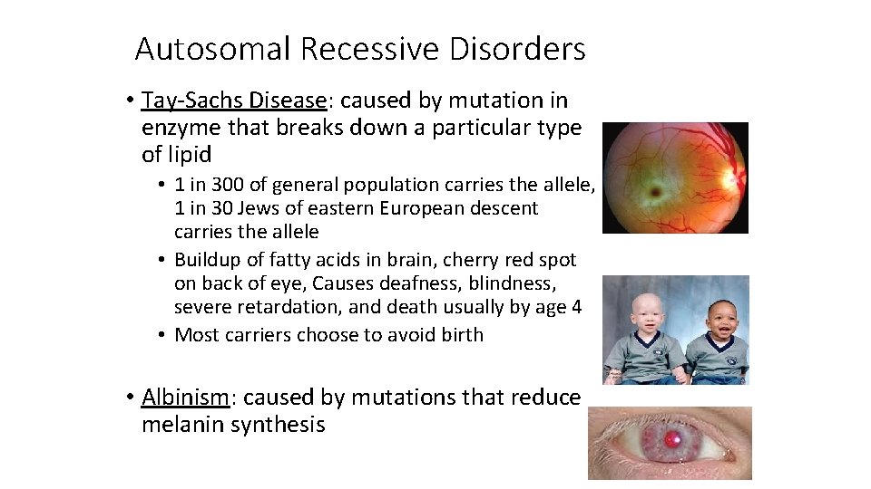 Autosomal Recessive Disorders • Tay-Sachs Disease: caused by mutation in enzyme that breaks down