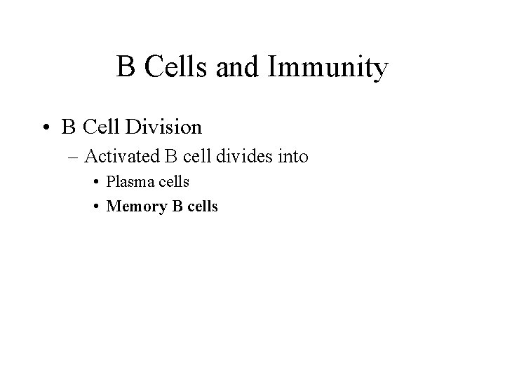 B Cells and Immunity • B Cell Division – Activated B cell divides into