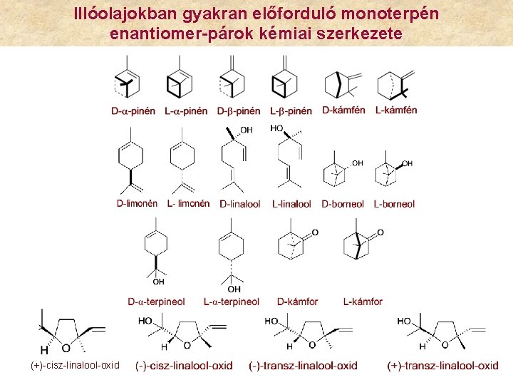 Illóolajokban gyakran előforduló monoterpén enantiomer-párok kémiai szerkezete (+)-cisz-linalool-oxid 