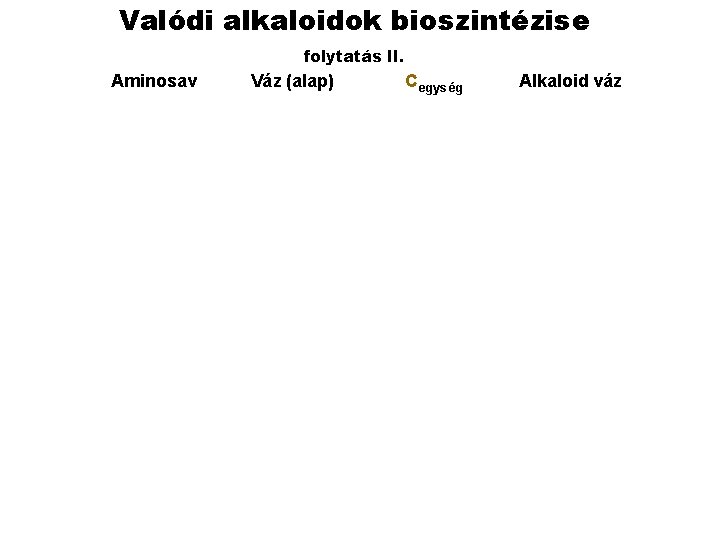 Valódi alkaloidok bioszintézise folytatás II. Aminosav Váz (alap) Cegység Alkaloid váz 