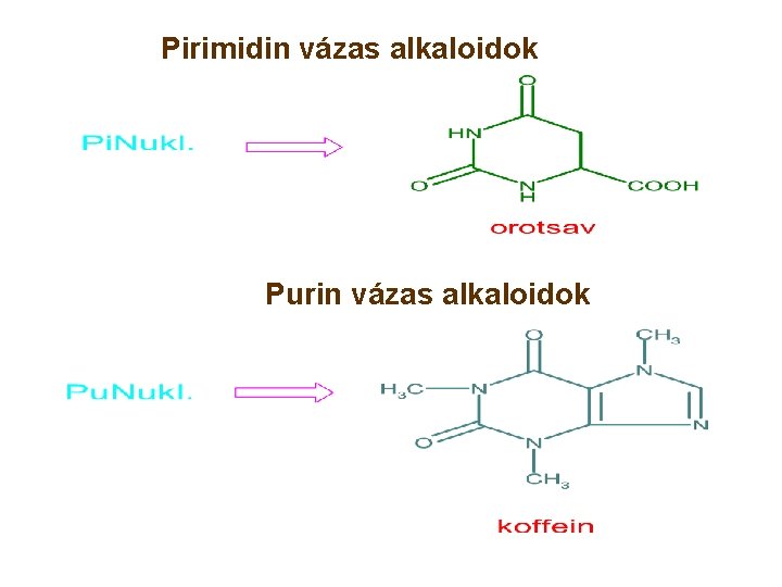 Pirimidin vázas alkaloidok Purin vázas alkaloidok 