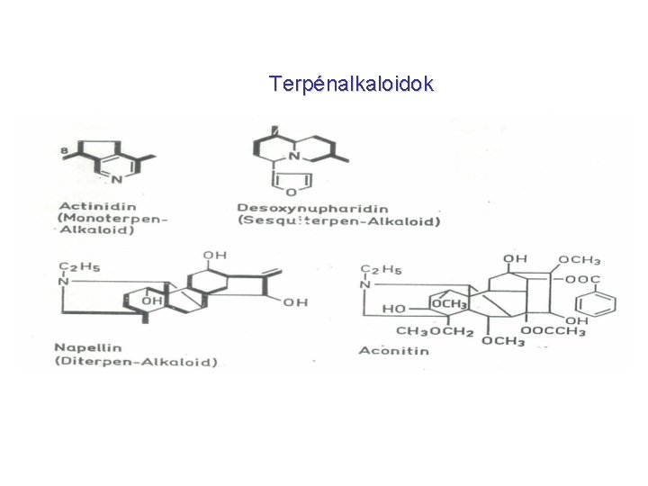 Terpénalkaloidok 