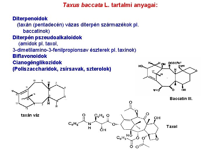 Taxus baccata L. tartalmi anyagai: Diterpenoidok (taxán (pentadecén) vázas diterpén származékok pl. baccatinok) Diterpén