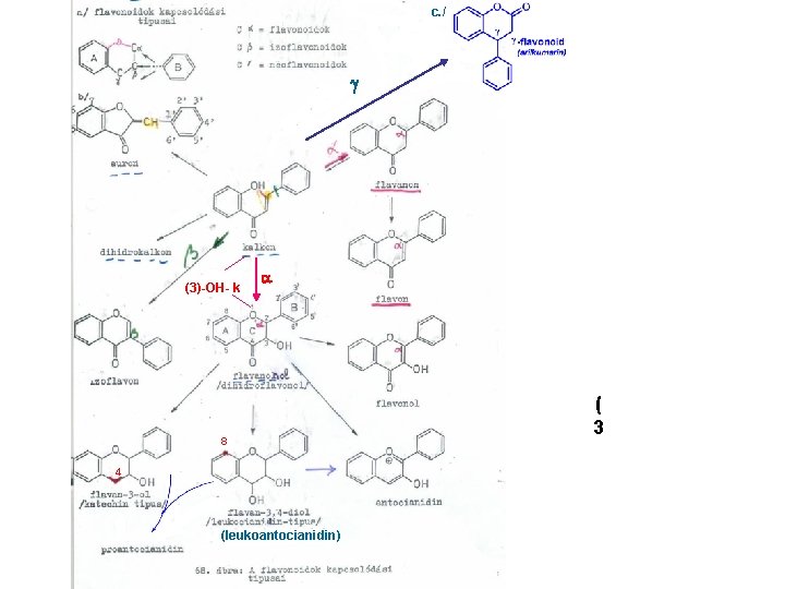 c. / g (3)-OH- k a 8 4 (leukoantocianidin) ( 3 
