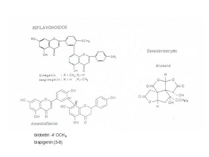 bilobetin 4’ OCH 3 biapigenin (3 -8) 