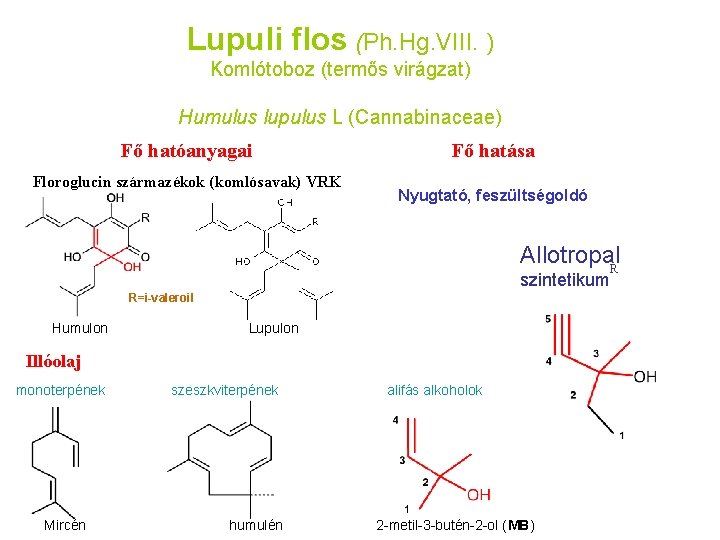 Lupuli flos (Ph. Hg. VIII. ) Komlótoboz (termős virágzat) Humulus lupulus L (Cannabinaceae) Fő