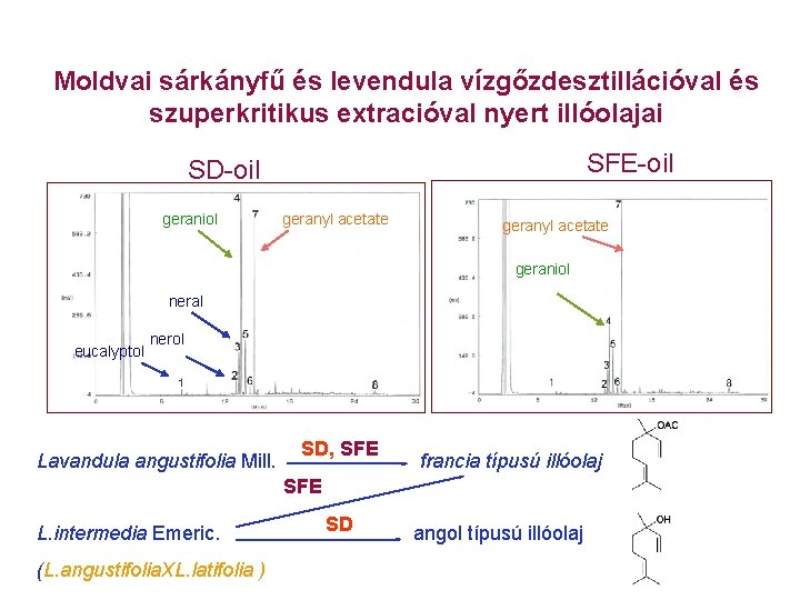 Moldvai sárkányfű és levendula vízgőzdesztillációval és szuperkritikus extracióval nyert illóolajai SFE-oil SD-oil geraniol geranyl