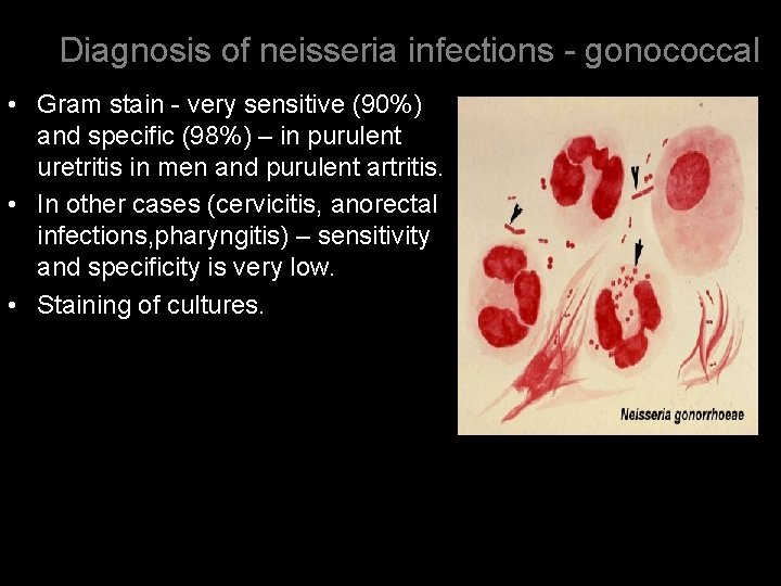 Diagnosis of neisseria infections - gonococcal • Gram stain - very sensitive (90%) and