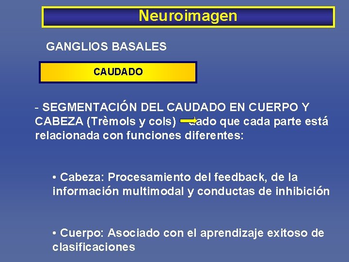 Neuroimagen GANGLIOS BASALES CAUDADO - SEGMENTACIÓN DEL CAUDADO EN CUERPO Y CABEZA (Trèmols y