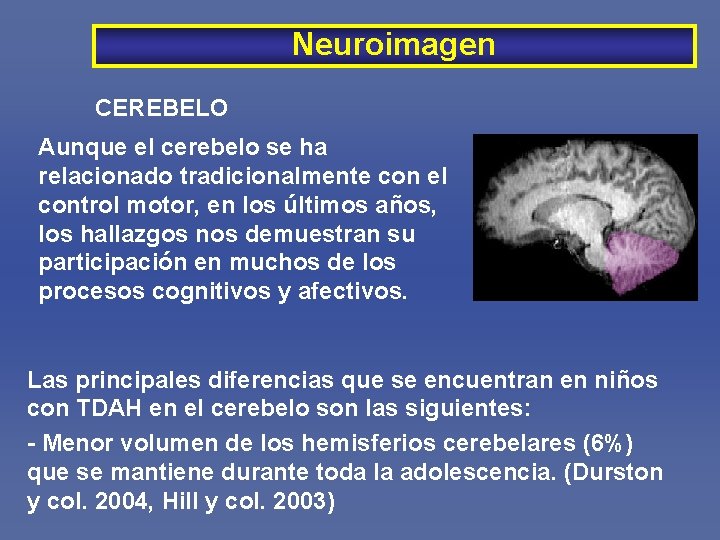 Neuroimagen CEREBELO Aunque el cerebelo se ha relacionado tradicionalmente con el control motor, en