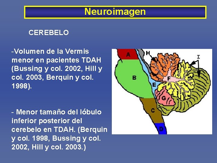 Neuroimagen CEREBELO -Volumen de la Vermis menor en pacientes TDAH (Bussing y col. 2002,