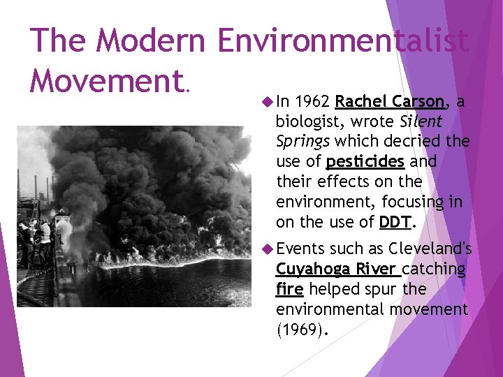 The Modern Environmentalist Movement. In 1962 Rachel Carson, a biologist, wrote Silent Springs which