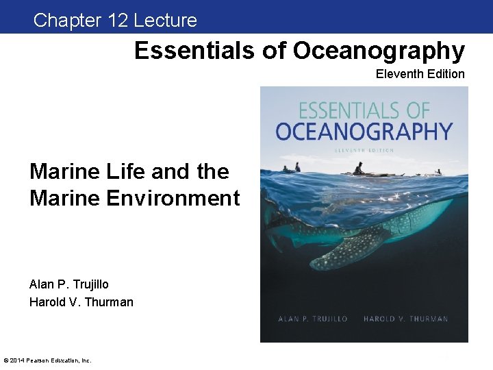 Chapter Clickers Chapter 112 Lecture Essentials of Oceanography Eleventh Edition Marine Life and the