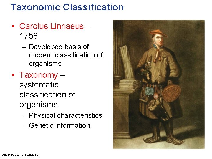 Taxonomic Classification • Carolus Linnaeus – 1758 – Developed basis of modern classification of