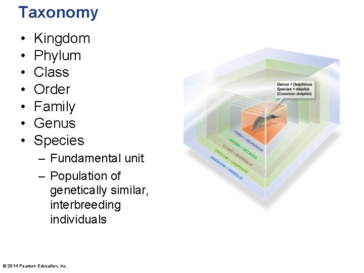 Taxonomy • • Kingdom Phylum Class Order Family Genus Species – Fundamental unit –