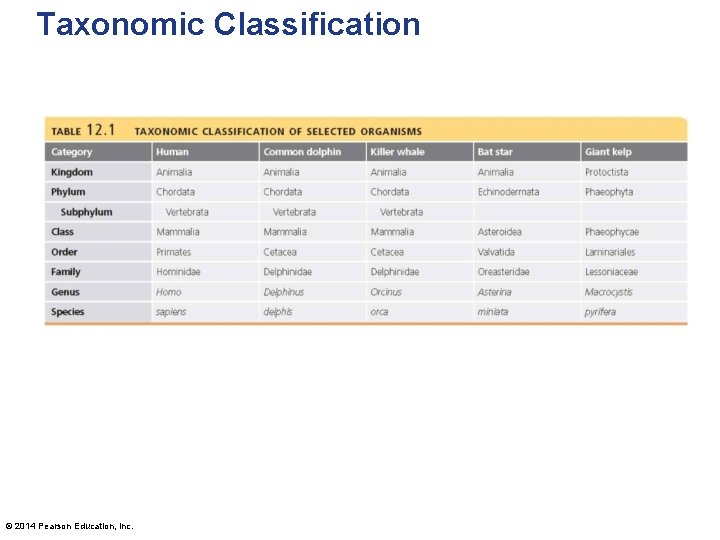 Taxonomic Classification © 2014 Pearson Education, Inc. 