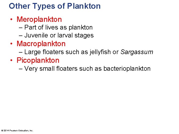 Other Types of Plankton • Meroplankton – Part of lives as plankton – Juvenile