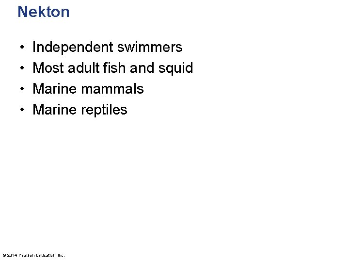 Nekton • • Independent swimmers Most adult fish and squid Marine mammals Marine reptiles