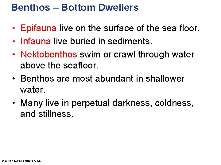 Benthos – Bottom Dwellers • Epifauna live on the surface of the sea floor.