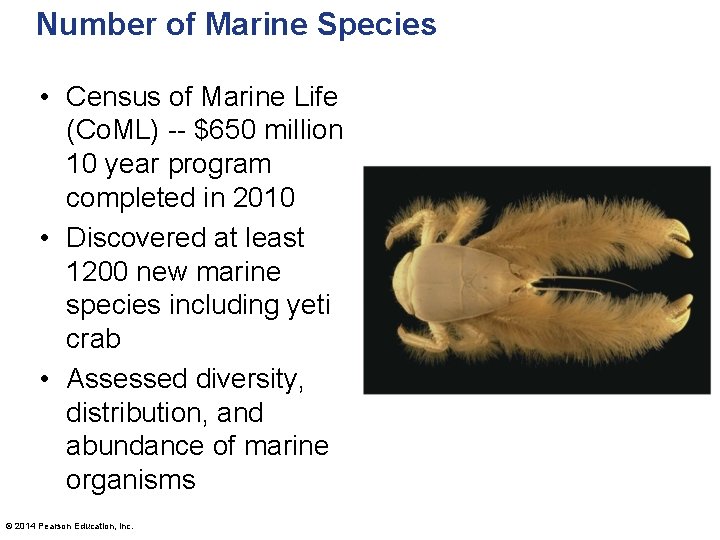 Number of Marine Species • Census of Marine Life (Co. ML) -- $650 million