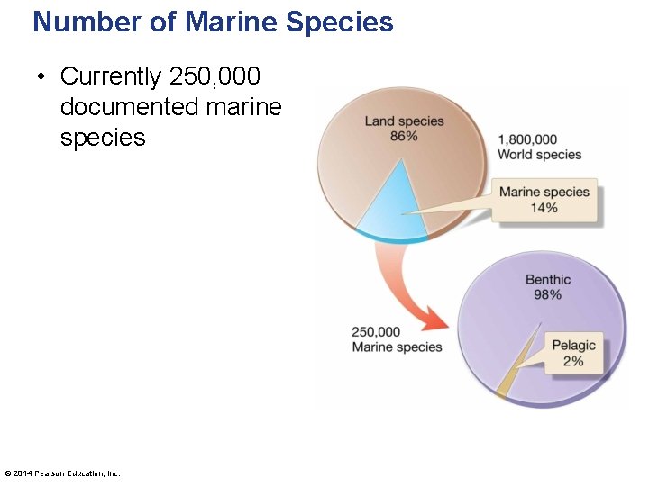 Number of Marine Species • Currently 250, 000 documented marine species © 2014 Pearson