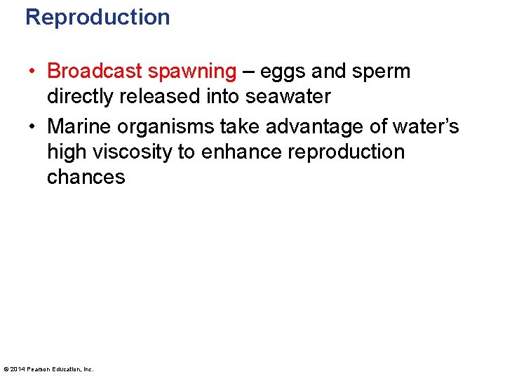 Reproduction • Broadcast spawning – eggs and sperm directly released into seawater • Marine