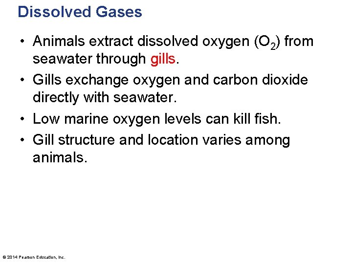 Dissolved Gases • Animals extract dissolved oxygen (O 2) from seawater through gills. •