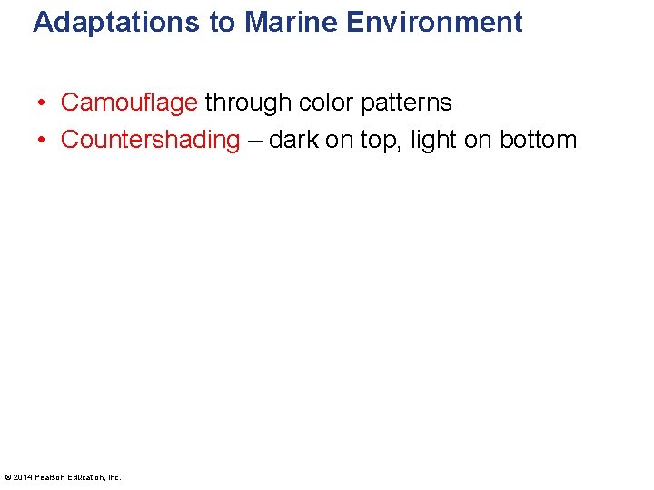 Adaptations to Marine Environment • Camouflage through color patterns • Countershading – dark on